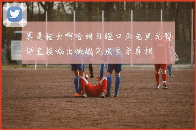 真是猪头啊哈姆目瞪口呆老里无暂停直接喊出挑战完成自杀真相
