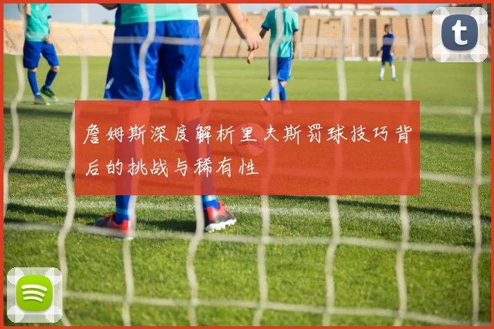 詹姆斯深度解析里夫斯罚球技巧背后的挑战与稀有性