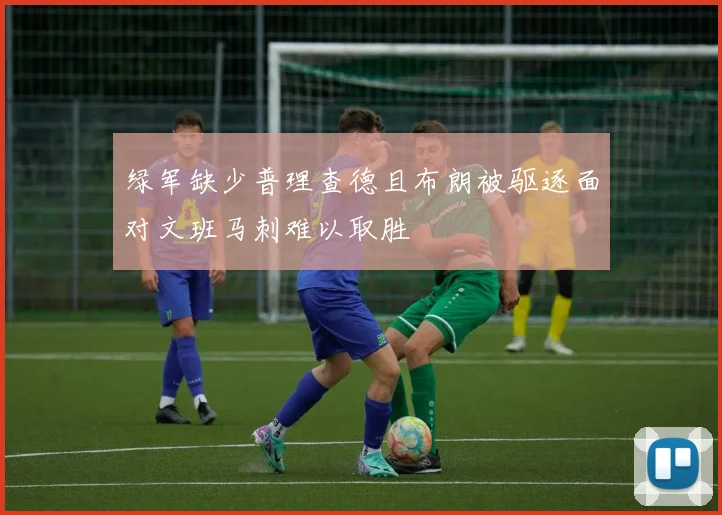 绿军缺少普理查德且布朗被驱逐面对文班马刺难以取胜